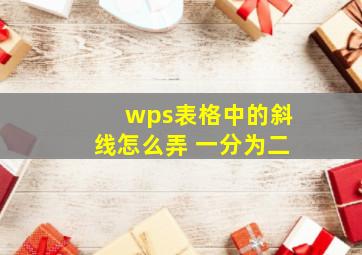 wps表格中的斜线怎么弄 一分为二